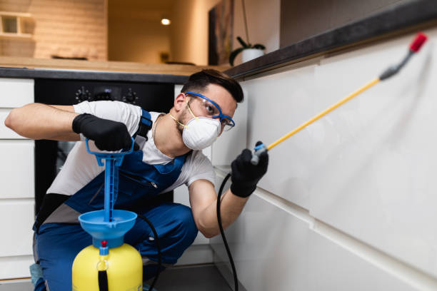 Best Flea Control Services  in Rockford, MI