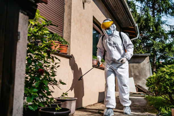 Best Termite Control Services  in Rockford, MI