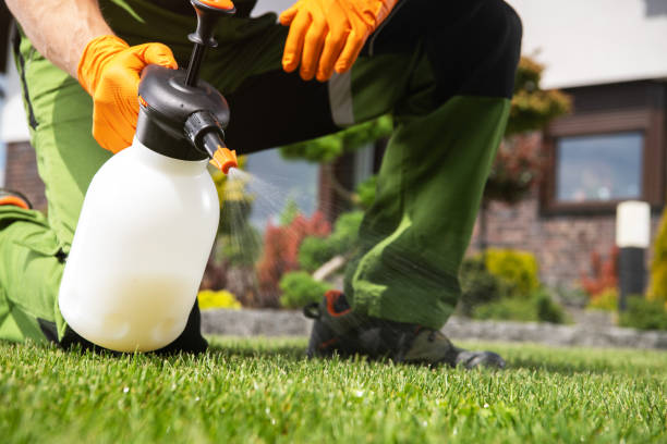 Best Pest Prevention Services  in Rockford, MI