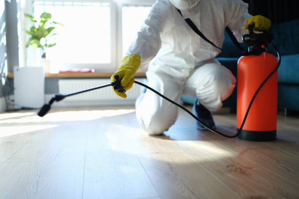 Best Mosquito Control Services  in Rockford, MI