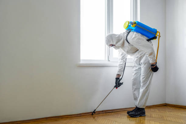 Best Pest Removal Services  in Rockford, MI