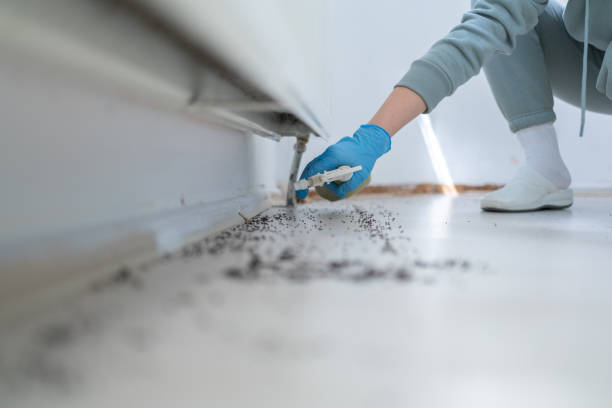 Best Commercial Pest Control Services  in Rockford, MI