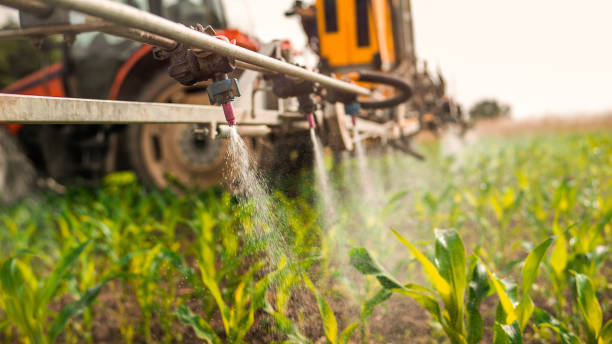 Best Pest Control for Homes  in Rockford, MI