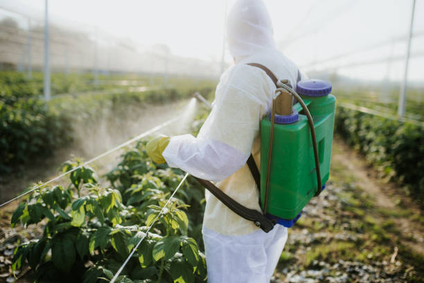 Best Residential Pest Control  in Rockford, MI